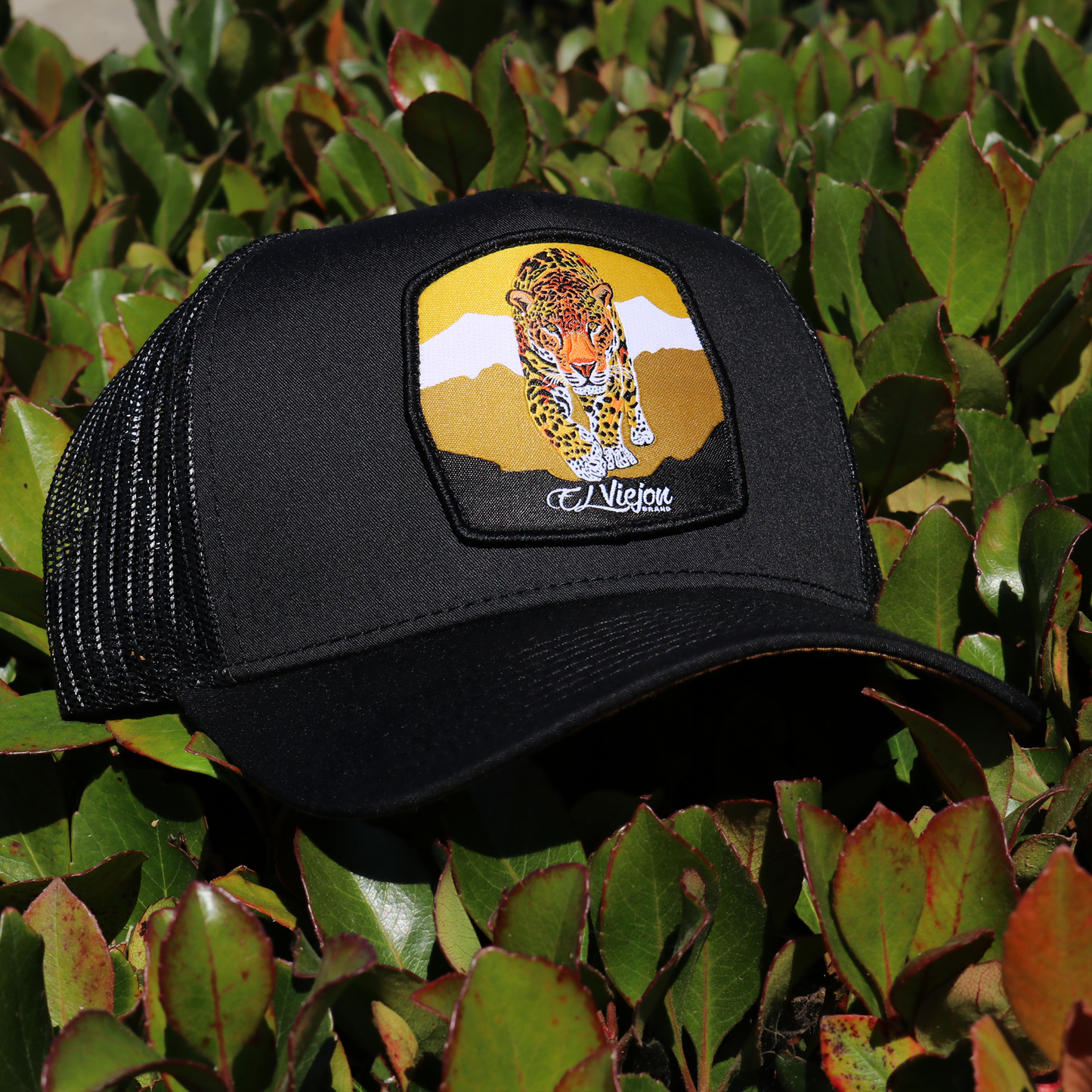 Jaguar Black AVC hat / gorra