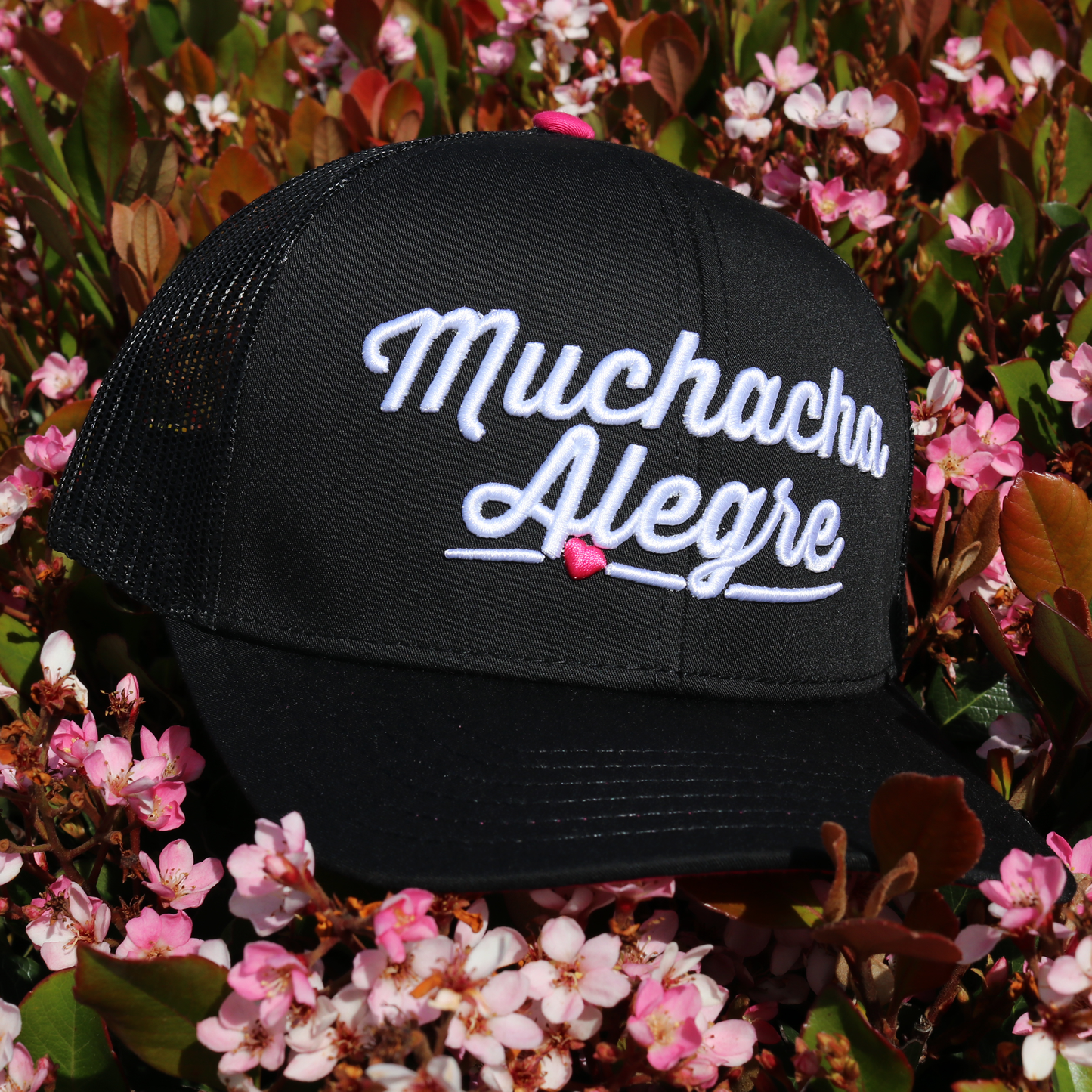 Muchacha Alegre Black classic visor hat / gorra de visera clasica