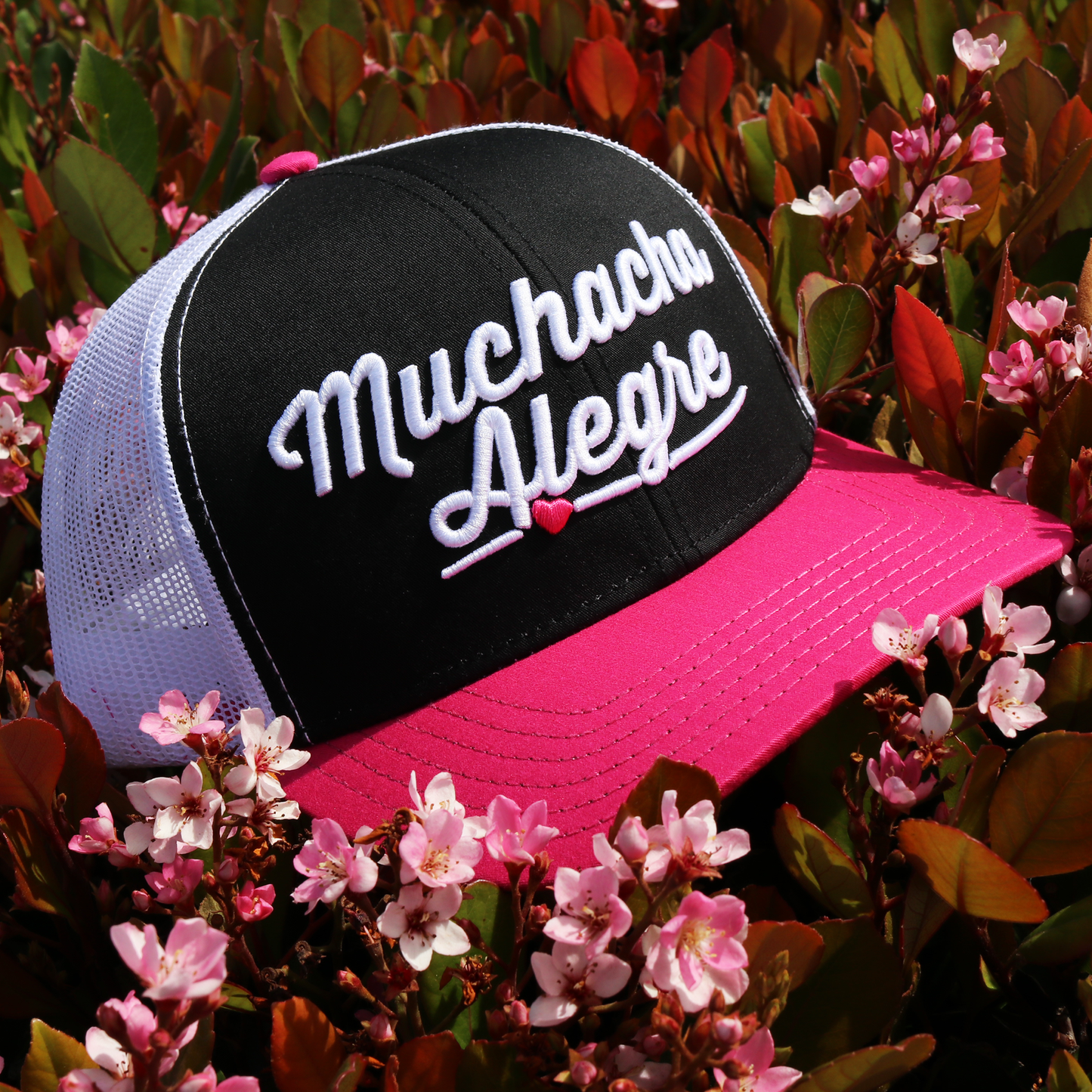 Muchacha Alegre Pink/Black/White classic visor hat / gorra de visera clasica