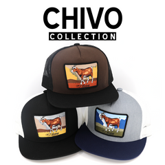 Chivo Collection