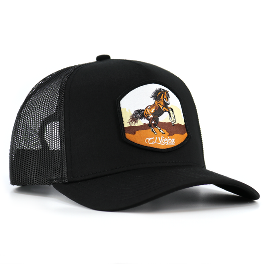 Bailador Black AVC hat / gorra
