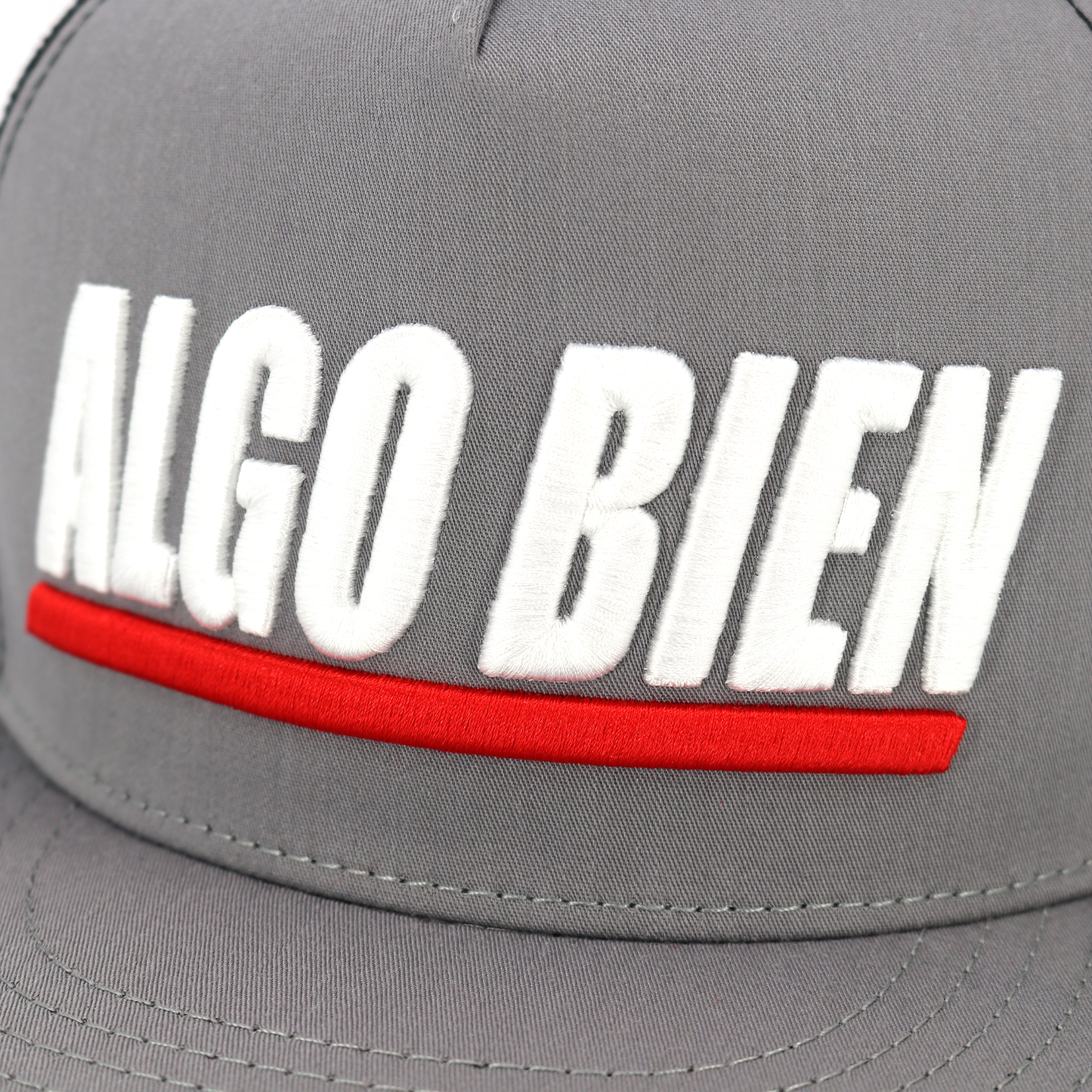 Algo Bien Grey/Black flat visor hat / gorra de visera plana