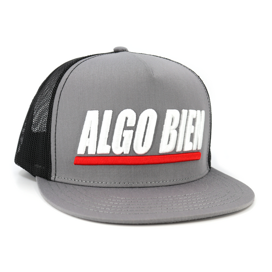 Algo Bien Grey/Black flat visor hat / gorra de visera plana