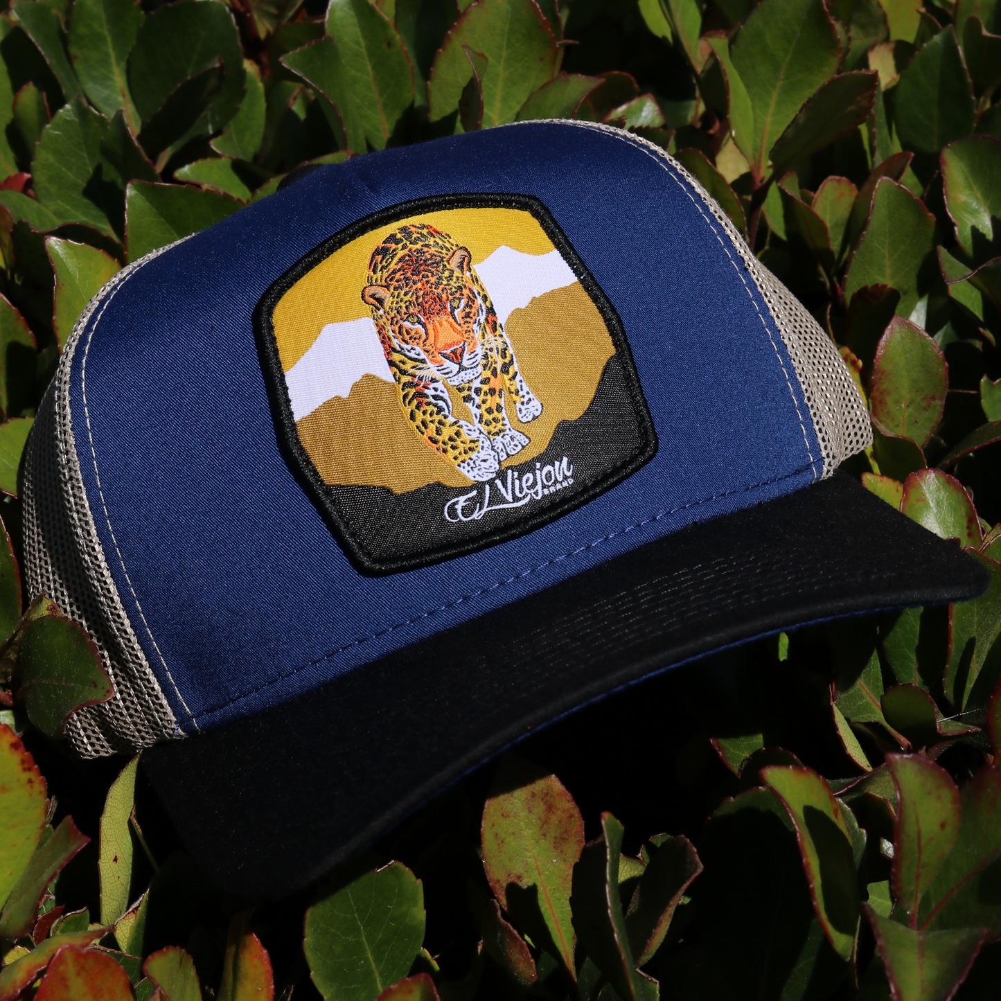 Jaguar Black/Navy/Khaki AVC hat / gorra