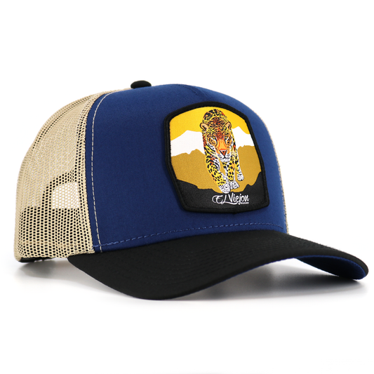 Jaguar Black/Navy/Khaki AVC hat / gorra