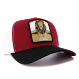 Leon Black/Maroon/White AVC hat / gorra