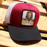 Leon Black/Maroon/White AVC hat / gorra