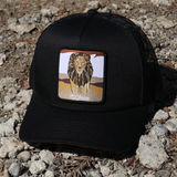 Leon Black AVC hat / gorra