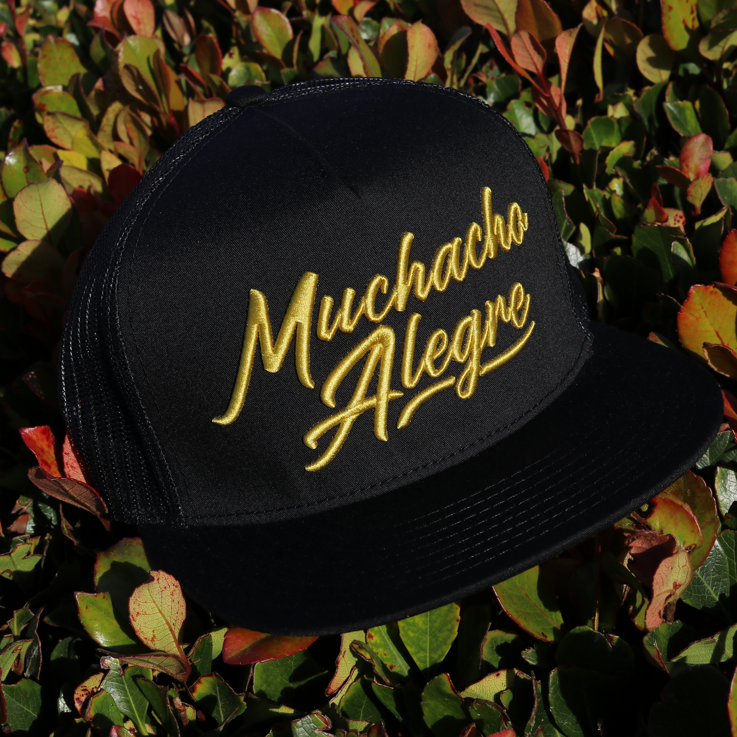 Muchacho Alegre Black flat visor hat / gorra de visera plana