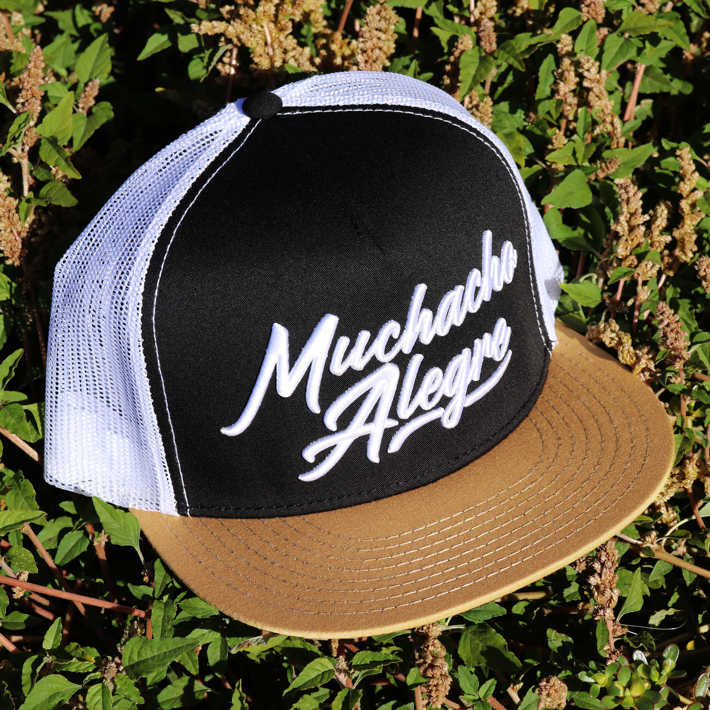 Muchacho Alegre Camel/Black/White flat visor hat / gorra de visera plana