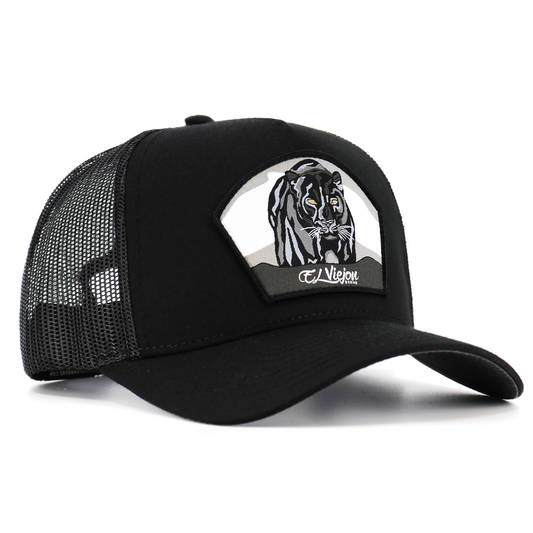 Pantera Negra Black AVC hat / gorra