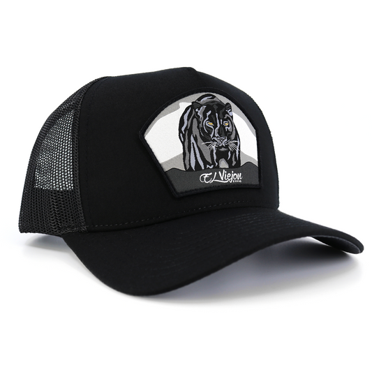 Pantera Negra Black AVC hat / gorra