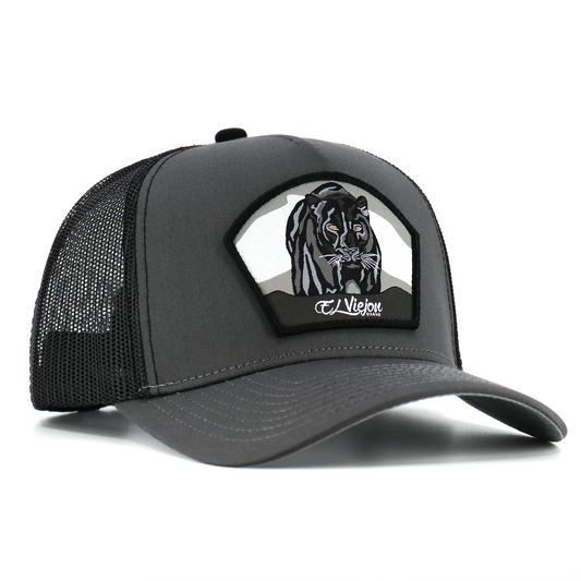 Pantera Negra Charcoal/Black AVC hat / gorra