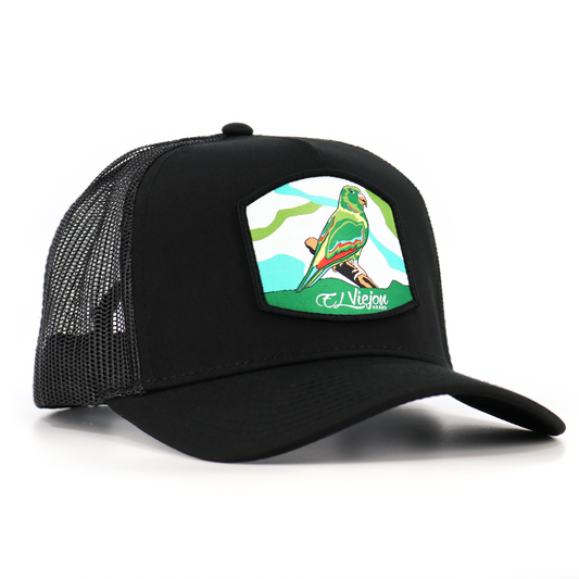 Perico Black AVC hat / gorra