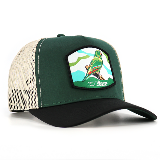 Perico Black/Green/Tan AVC hat / gorra