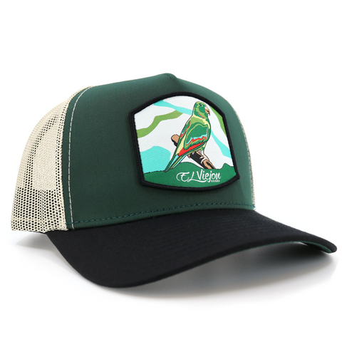 Perico Black/Green/Tan AVC hat / gorra