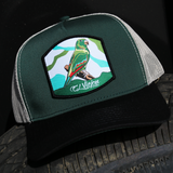 Perico Black/Green/Tan AVC hat / gorra