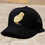 Pollito Black KID HAT / GORRA PARA NIÑO