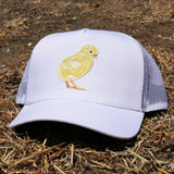 Pollito White KID HAT / GORRA PARA NIÑO