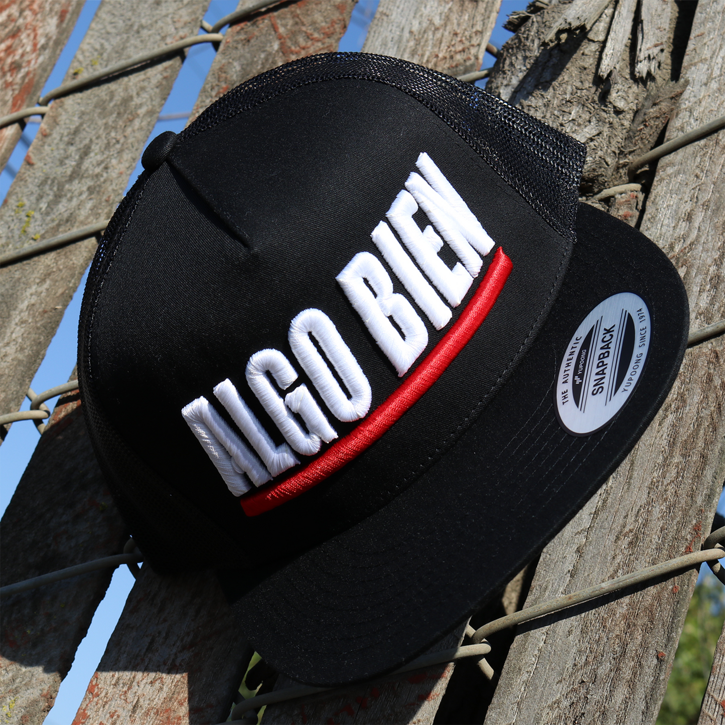 Algo Bien Black flat visor hat / gorra de visera plana